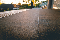 IMG_4923