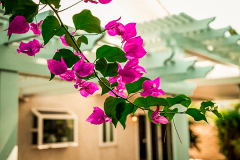 Alumawood patio covers in Los Angeles | https://Patiocovered.com