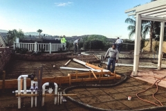 IMG_3377