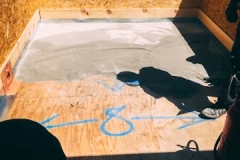 5 5