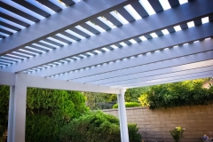 IMG_3646